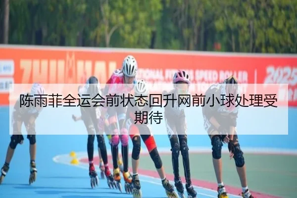 陈雨菲全运会前状态回升网前小球处理受期待